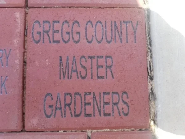 Buy a Brick - Image 3